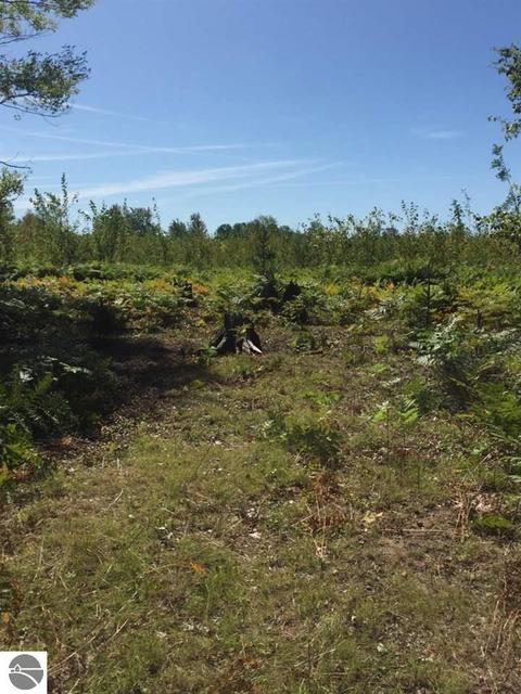 2141 Smith Rd, Gladwin, MI 48624 photo 11