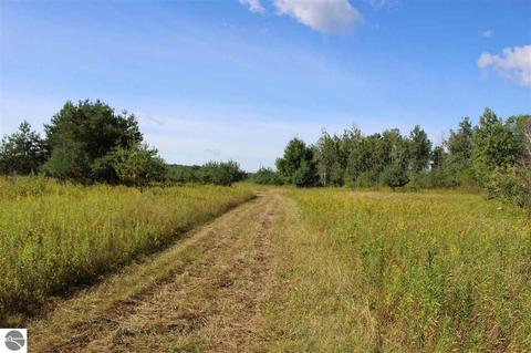 4616 Turtle Rd, Turner, MI 48765 photo 3