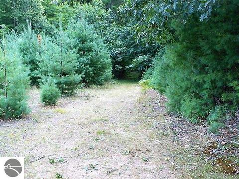 1608 Sensabaugh Rd, Lupton, MI 48635 photo 4