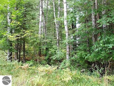 1608 Sensabaugh Rd, Lupton, MI 48635 photo 6