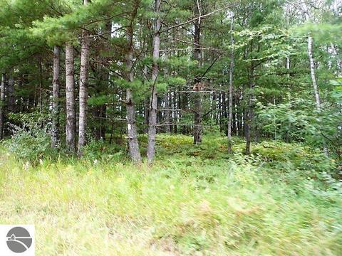 1608 Sensabaugh Rd, Lupton, MI 48635 photo 3