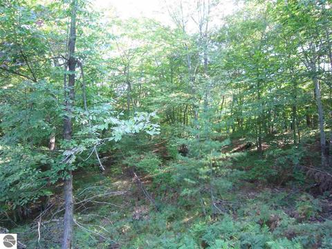 3010 Crozier Rd, Lupton, MI 48635 photo 50