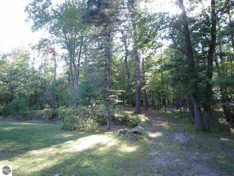 3010 Crozier Rd, Lupton, MI 48635 photo 47