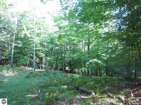 3010 Crozier Rd, Lupton, MI 48635 photo 59