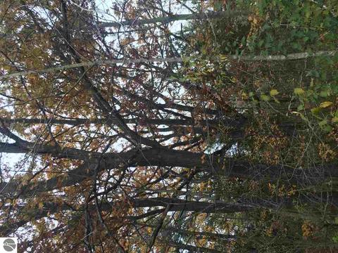 1860 Deep River Rd, Standish, MI 48658 photo 40