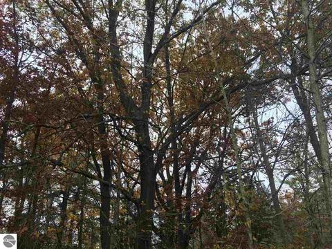 1860 Deep River Rd, Standish, MI 48658 photo 41