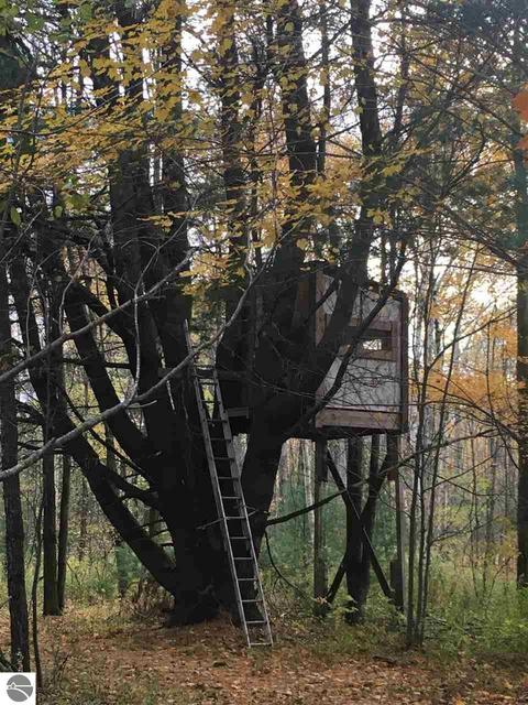 1860 Deep River Rd, Standish, MI 48658 photo 50