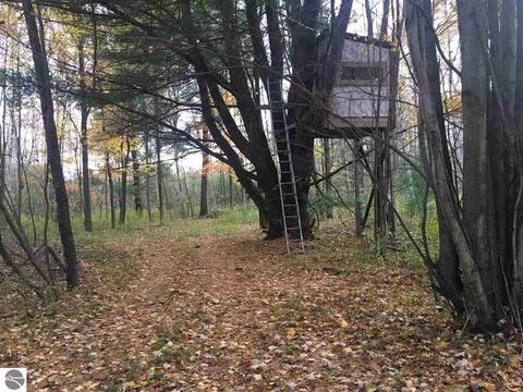 1860 Deep River Rd, Standish, MI 48658 photo 51