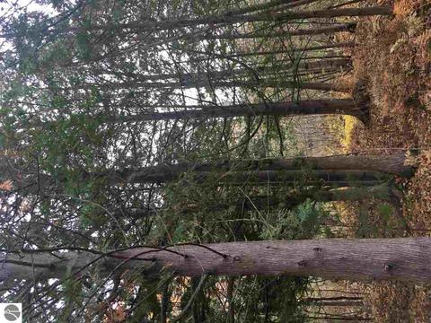 1860 Deep River Rd, Standish, MI 48658 photo 47