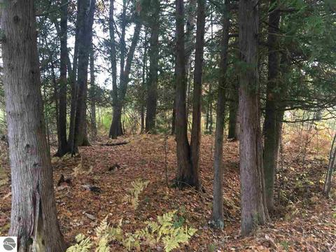 1860 Deep River Rd, Standish, MI 48658 photo 48