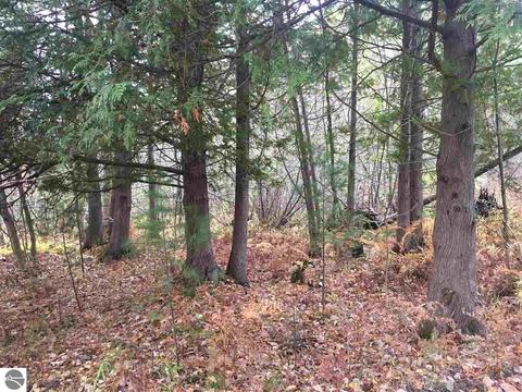 1860 Deep River Rd, Standish, MI 48658 photo 44