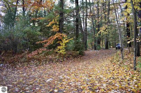 10609 White Pine Rd, Interlochen, MI 49643 photo 29