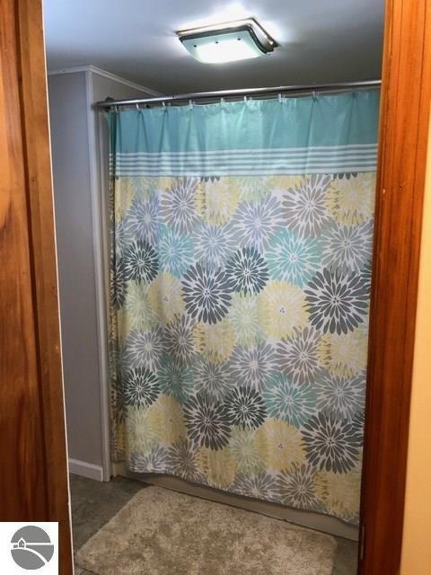 120 S Luce Rd, Ithaca, MI 48847 photo 25