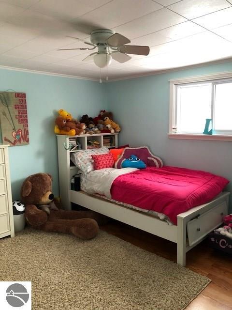 120 S Luce Rd, Ithaca, MI 48847 photo 18