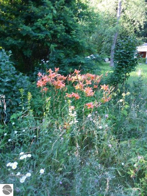 5376 Durga Rd, Williamsburg, MI 49690 photo 3