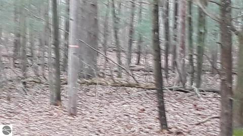93 W Scherry Srteet, Au Gres, MI 48703 photo 13