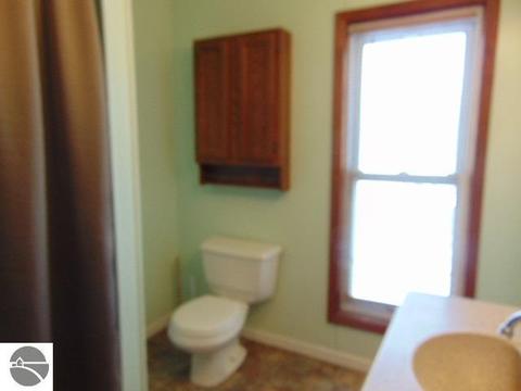 516 N Pine River St, Ithaca, MI 48847 photo 27