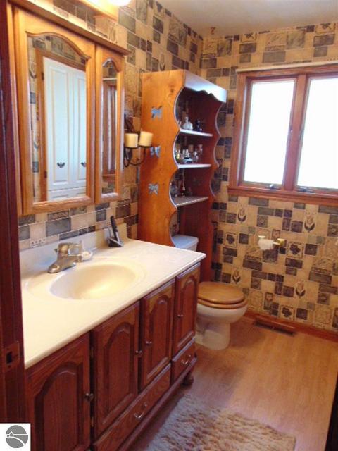 615 Emerson St, Ithaca, MI 48847 photo 20