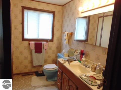 335 S Ithaca St, Ithaca, MI 48847 photo 15