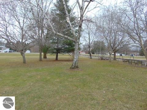 335 S Ithaca St, Ithaca, MI 48847 photo 28