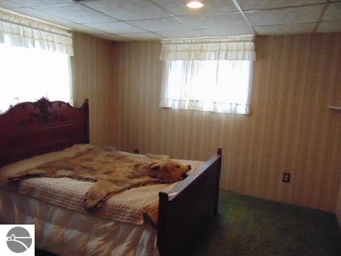 335 S Ithaca St, Ithaca, MI 48847 photo 22