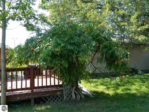 235 S Court St, Au Gres, MI 48703 photo 13