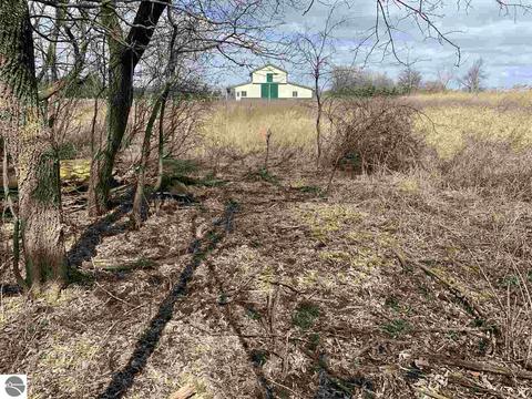 800 N Jerome Rd, Ithaca, MI 48847 photo 87