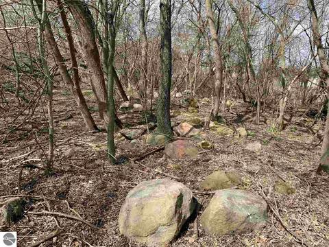 800 N Jerome Rd, Ithaca, MI 48847 photo 86