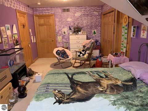 800 N Jerome Rd, Ithaca, MI 48847 photo 29