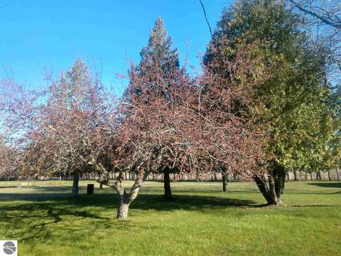 3725 E Huron Rd, Au Gres, MI 48703 photo 15