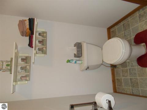 1737 Towerline Rd, Hale, MI 48739 photo 42