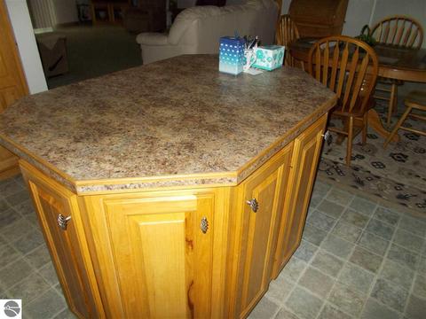 1737 Towerline Rd, Hale, MI 48739 photo 26