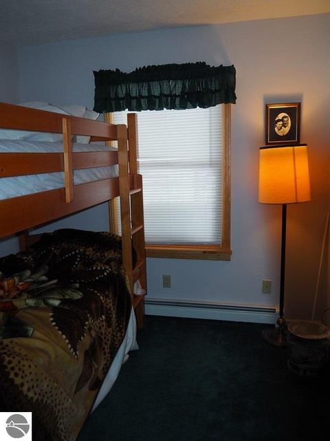 8607 Deadstream Rd, Honor, MI 49640 photo 25