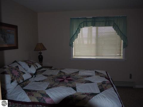 8607 Deadstream Rd, Honor, MI 49640 photo 19