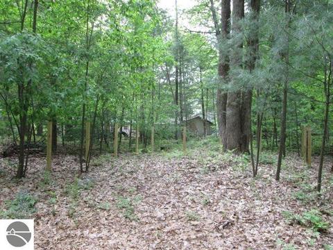 843 Cedar Trl, Interlochen, MI 49643 photo 6