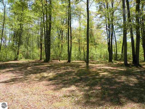 777 Easton Rd, Gladwin, MI 48624 photo 18