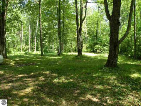 777 Easton Rd, Gladwin, MI 48624 photo 22