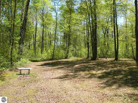 777 Easton Rd, Gladwin, MI 48624 photo 17