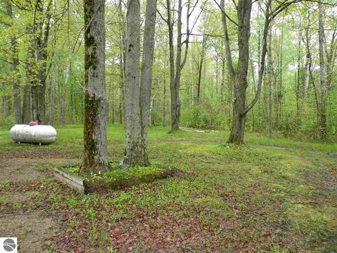 777 Easton Rd, Gladwin, MI 48624 photo 16