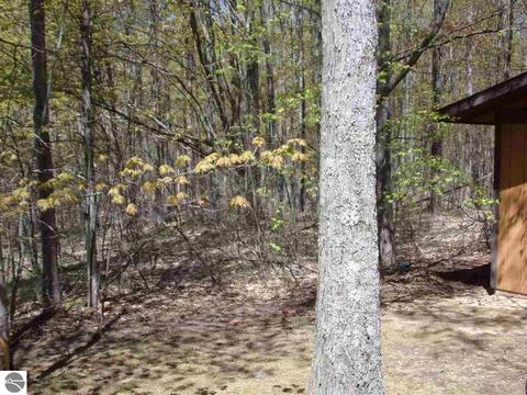 4545 Deckerville Rd, Lupton, MI 48635 photo 44