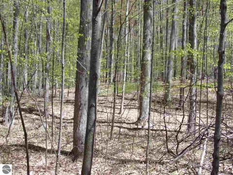 4545 Deckerville Rd, Lupton, MI 48635 photo 52