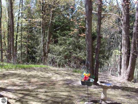 4545 Deckerville Rd, Lupton, MI 48635 photo 46