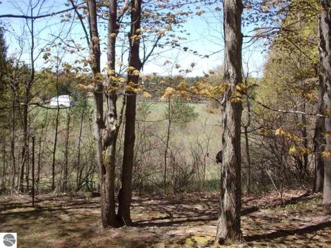 4545 Deckerville Rd, Lupton, MI 48635 photo 45