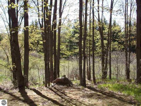 4545 Deckerville Rd, Lupton, MI 48635 photo 48