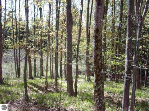 4545 Deckerville Rd, Lupton, MI 48635 photo 47