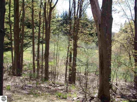 4545 Deckerville Rd, Lupton, MI 48635 photo 49