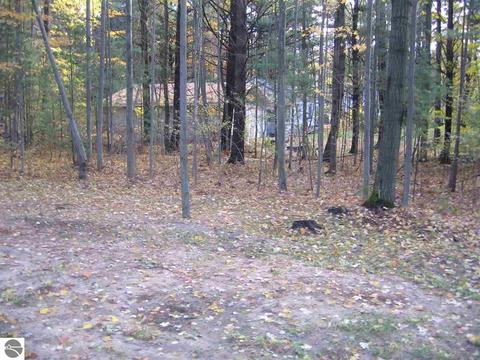2645 Linwood Rd, Au Gres, MI 48703 photo 2