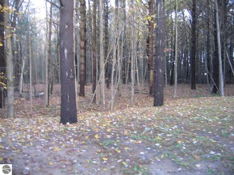 2645 Linwood Rd, Au Gres, MI 48703 photo 4