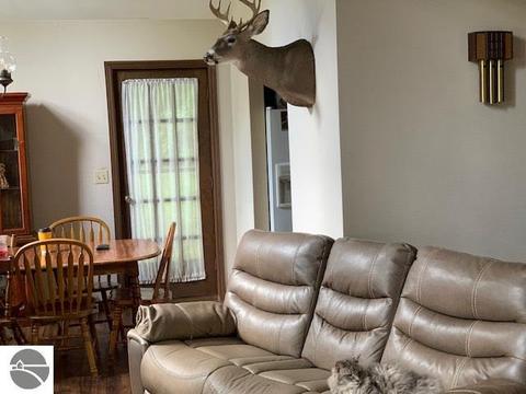 2242 Green Dr, Au Gres, MI 48703 photo 11