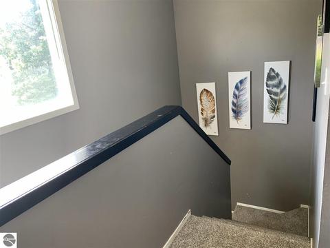 6037 Cedar Dr, Cadillac, MI 49601 photo 26